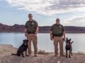 K9 Quail
